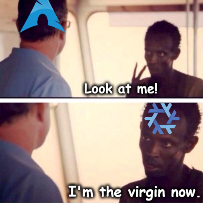 Мем, где пират из фильма "Капитан Филлипс" говорит "Look at me! I'm the virgin now", а на его голове логотипы Arch Linux и NixOS