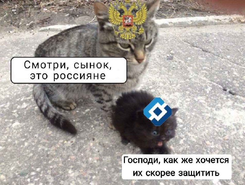 Смотри, сынок, это россияне Взрослая кошка в гербе РФ и котенок в логотипе РКН.
