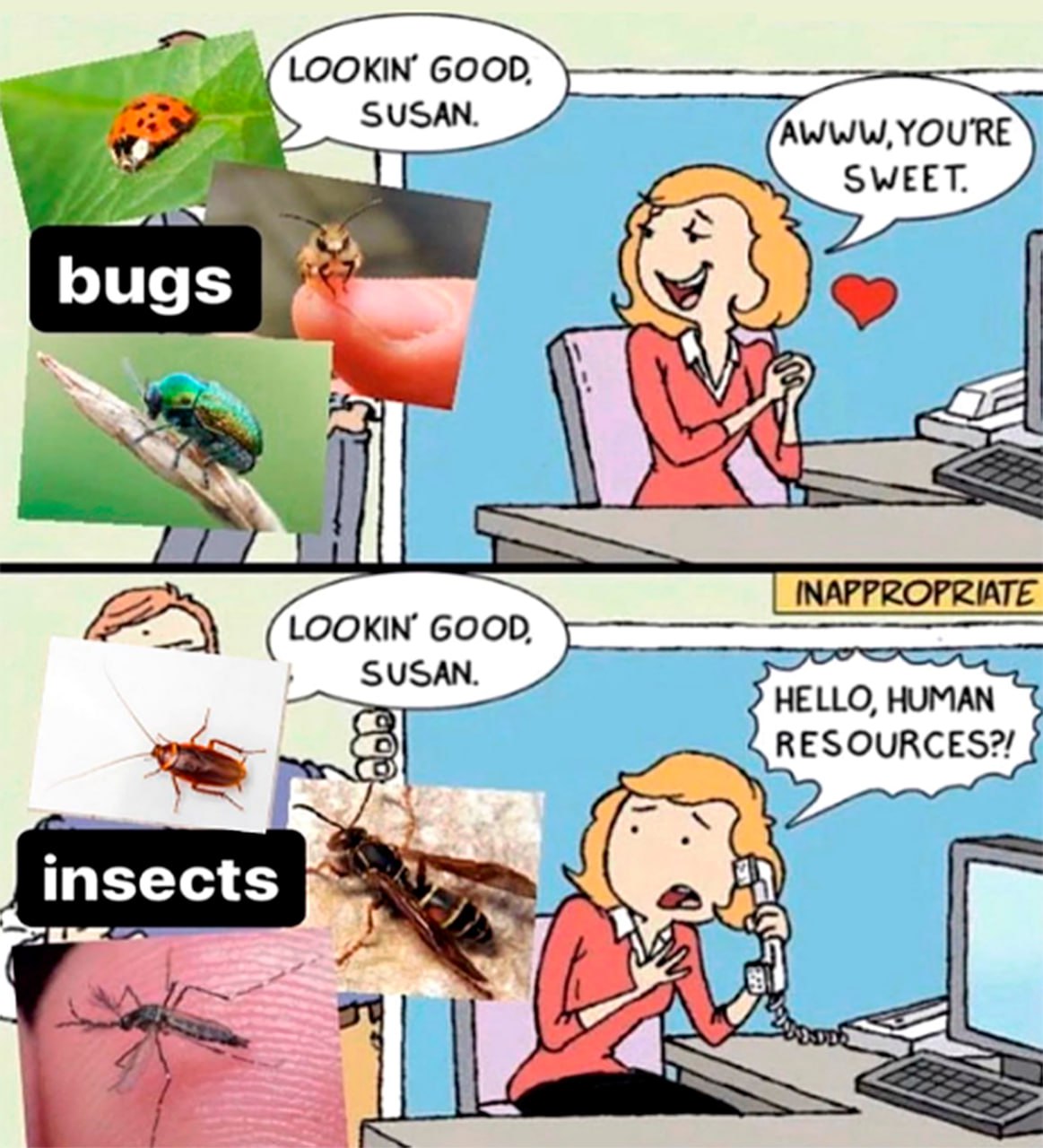 Lookin' good, Susan. Bugs vs insects Мем, где человек показывает Сьюзен милых жуков и неприятных насекомых