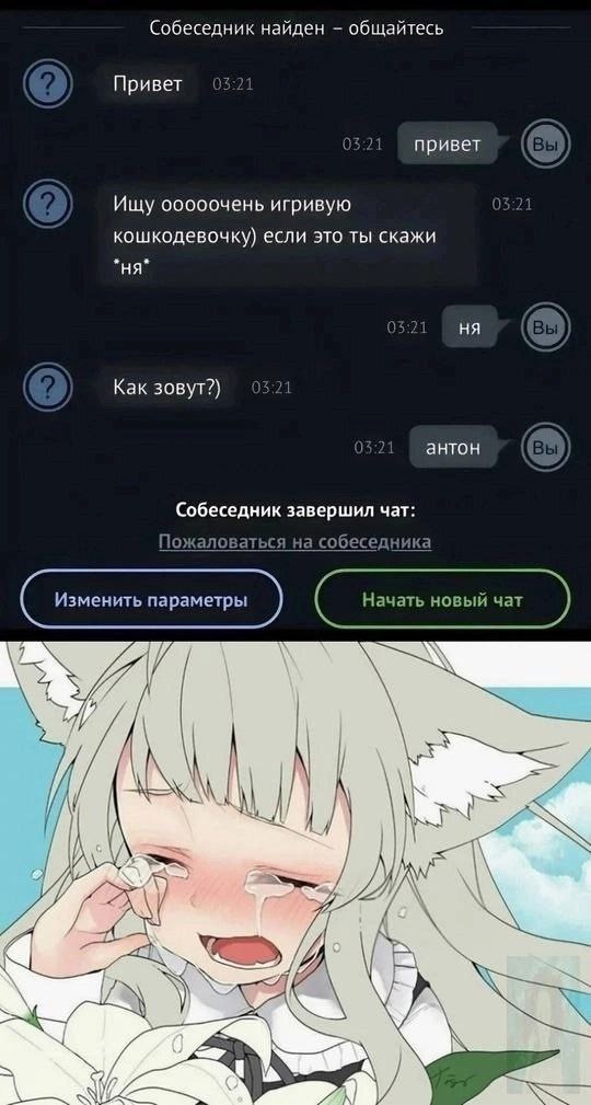 Ищу игривую кошкодевочку если это ты скажи ня Мем с перепиской в чате, где парень ищет "игривую кошкодевочку", а ему отвечает Антон, после чего кошкодевочка плачет.