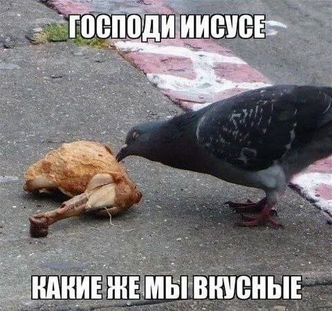 Господи Иисусе, какие же мы вкусные Голубь ест куриную ножку на улице с подписью «Господи Иисусе, какие же мы вкусные»
