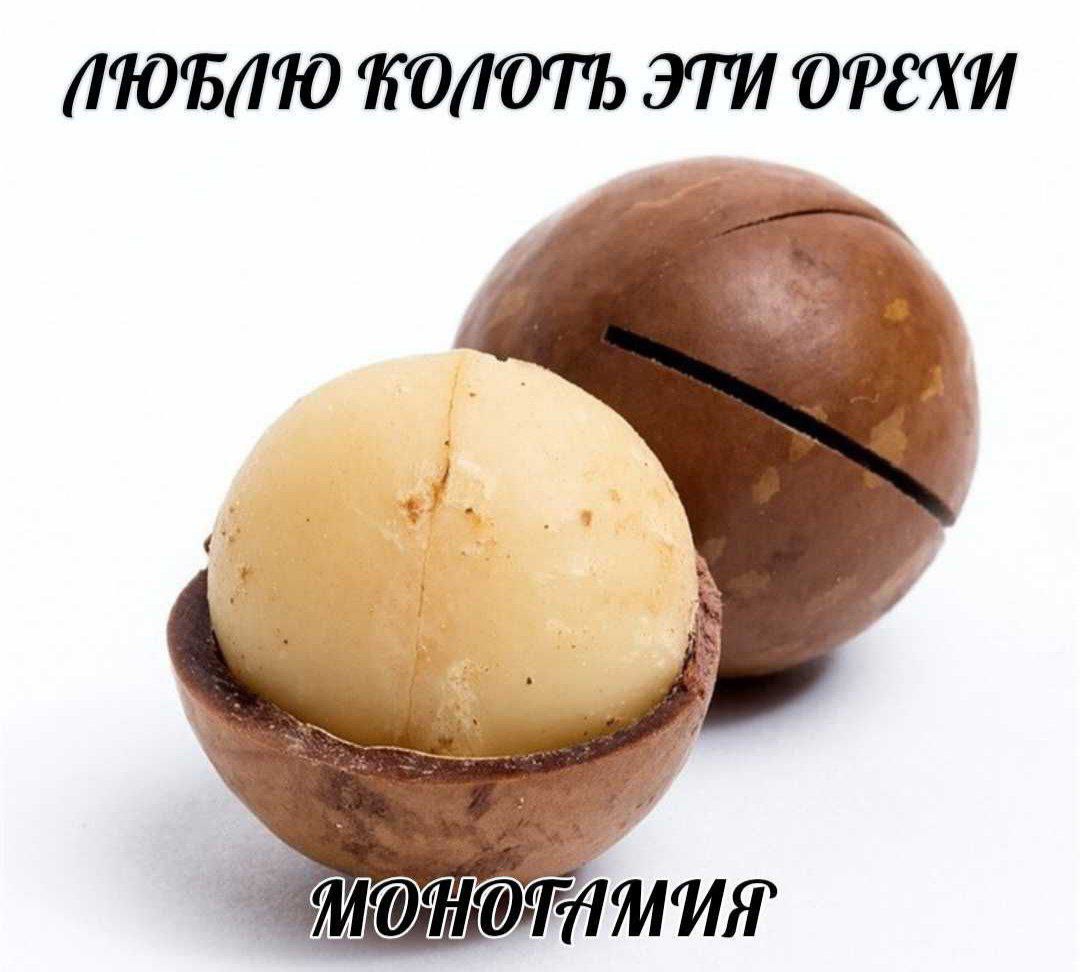 Люблю колоть эти орехи Изображение орехов макадамия с подписью «Люблю колоть эти орехи»