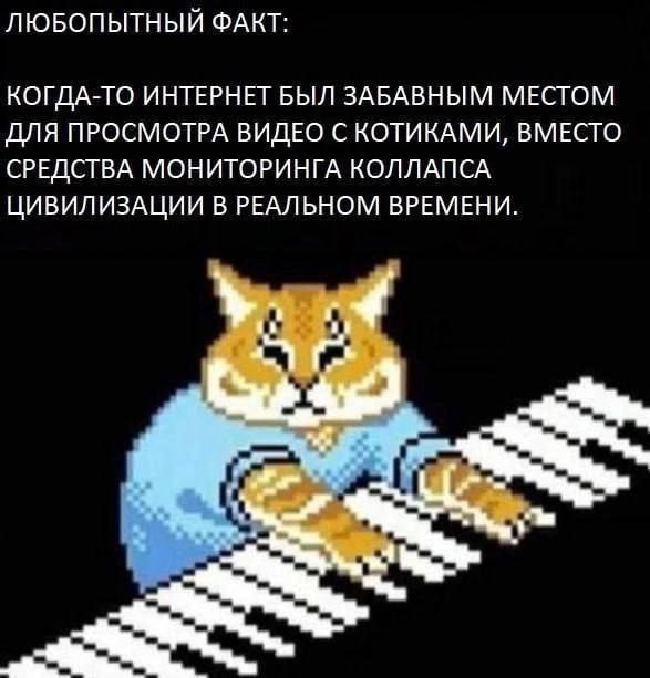 Любопытный факт про интернет Любопытный факт про то, что интернет был забавным местом для просмотра видео с котиками, а не средством мониторинга коллапса цивилизации, с котом-пианистом