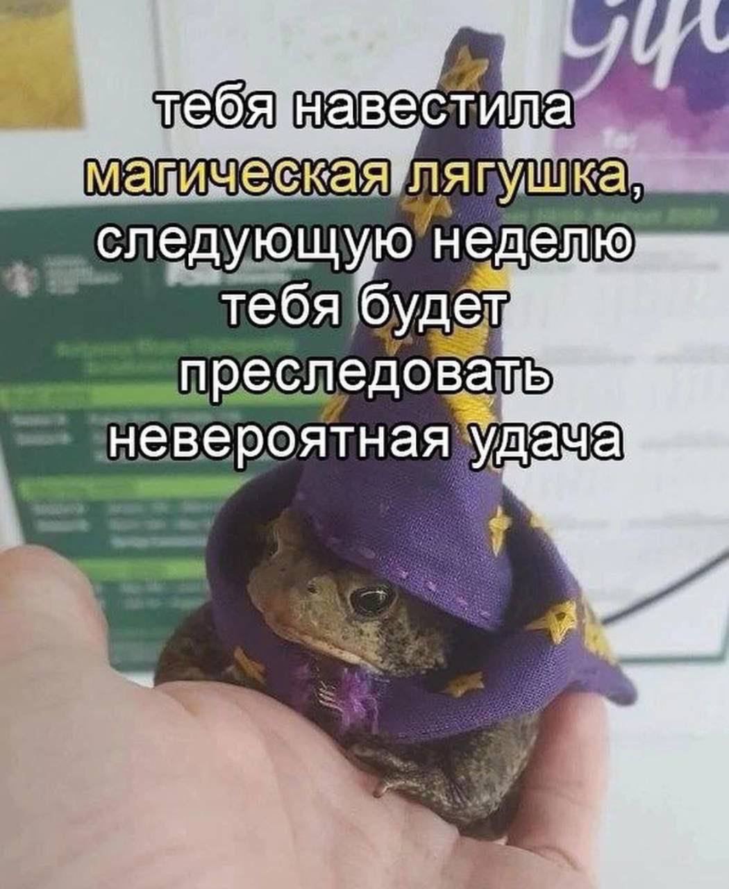 Магическая лягушка принесет удачу Мем с лягушкой в фиолетовой шляпе волшебника, которая обещает невероятную удачу на следующей неделе
