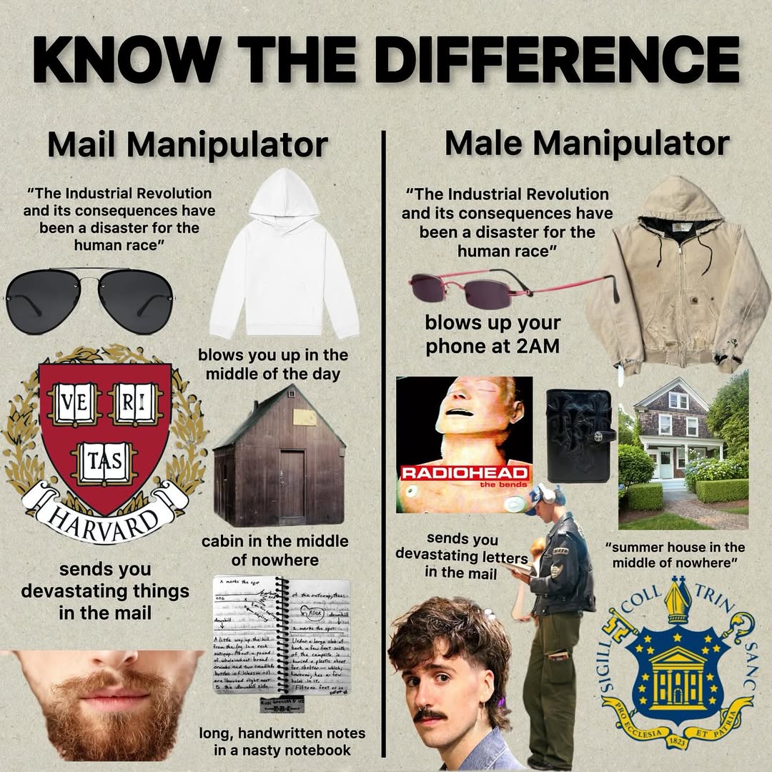 Mail Manipulator vs Male Manipulator Мем, сравнивающий «Mail Manipulator» и «Male Manipulator», показывая различия между ними через различные изображения и подписи.