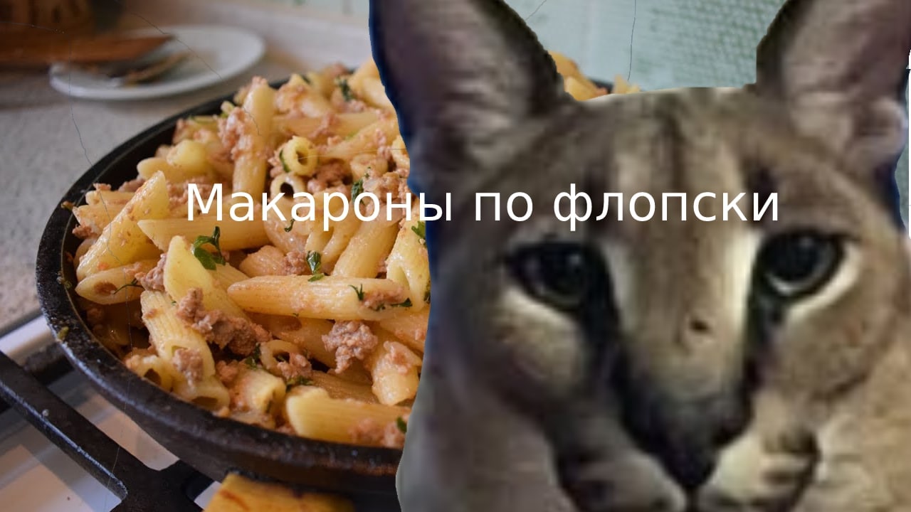 Макароны по флопски Макароны по флопски с мордой кота Флоппы