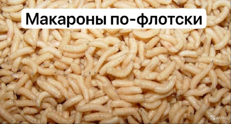 Куча светлых личинок с подписью «Макароны по-флотски», шутка про то, как они похожи на макароны.