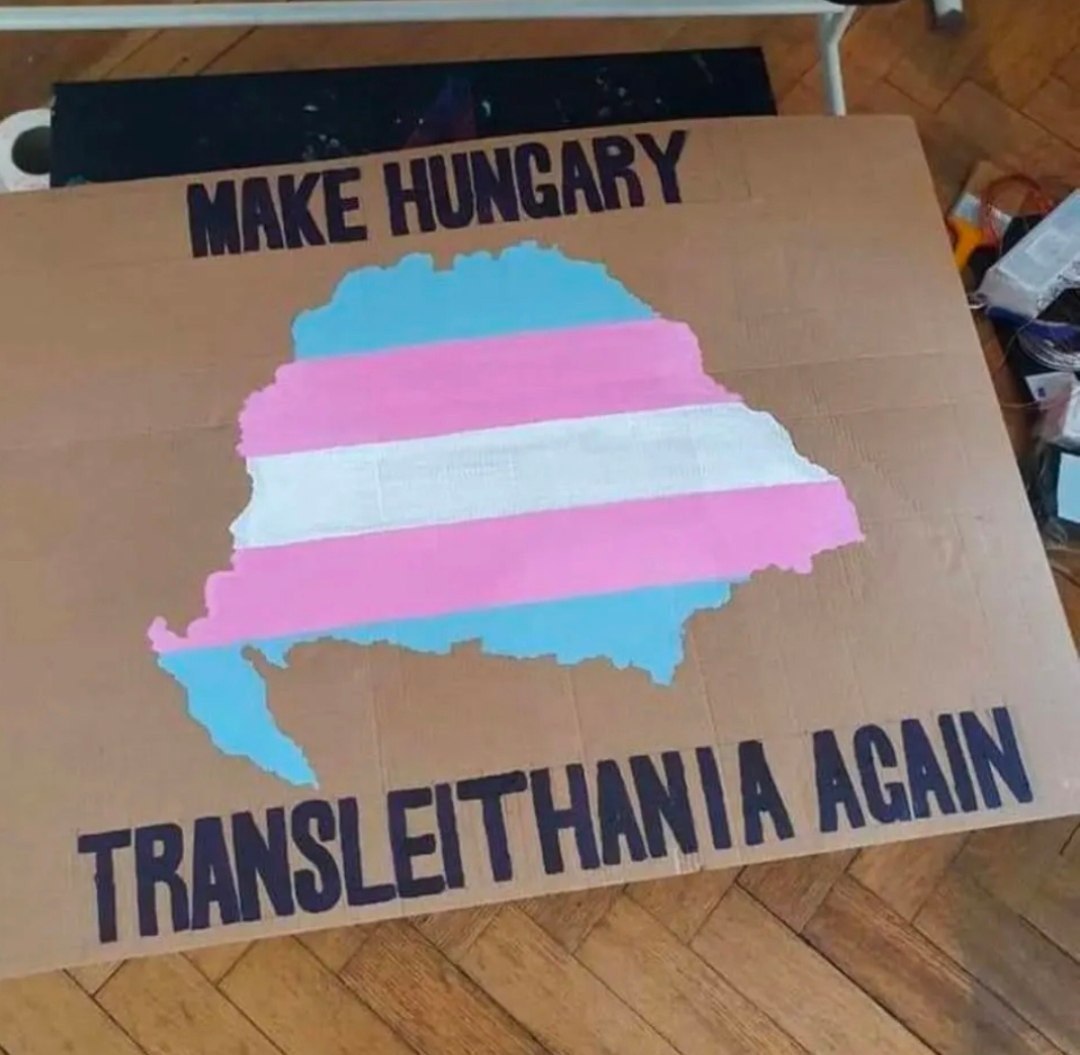Карта Венгрии в цветах трансгендерного флага с надписью «Make Hungary Transleithania Again».