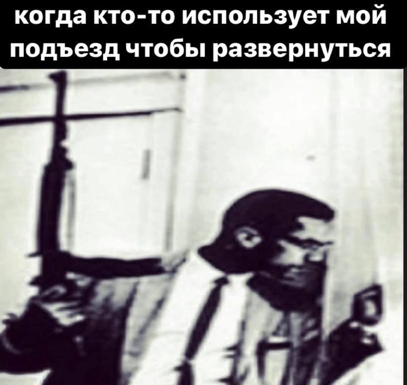 Малкольм Икс с винтовкой Малкольм Икс с винтовкой у окна, когда кто-то использует его подъезд, чтобы развернуться