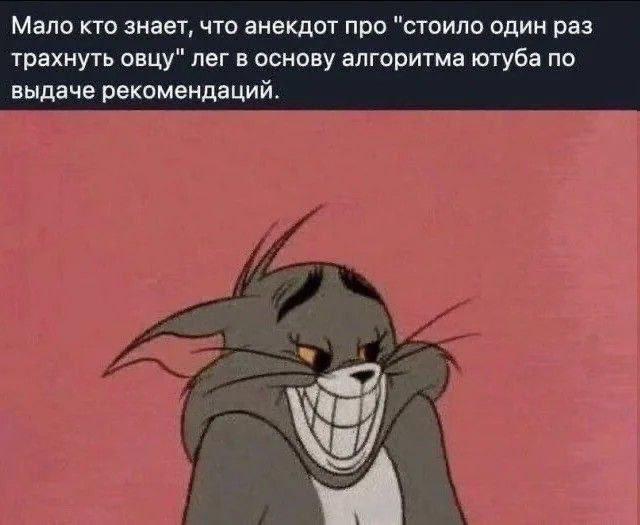 Мало кто знает, что анекдот про "стоило один раз трахнуть овцу" лег в основу алгоритма ютуба Мем с Томом и анекдотом про алгоритм YouTube