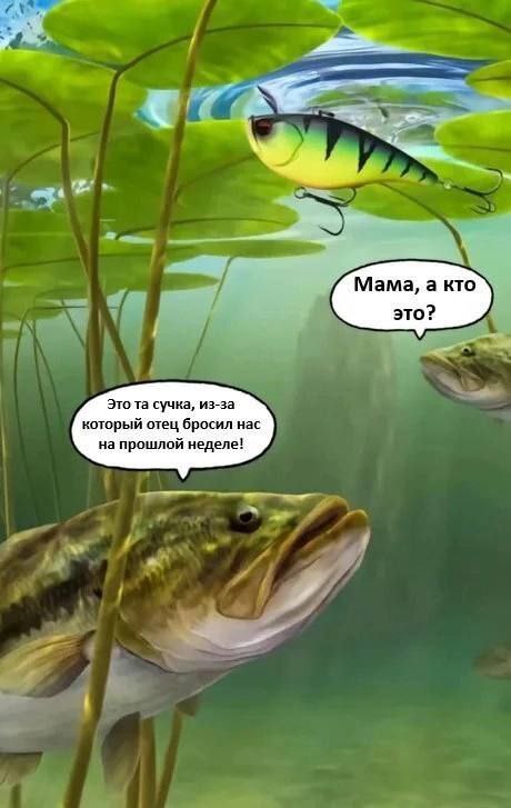 Мама, а кто это? Мама, а кто это? Это та сучка, из-за которой отец бросил нас на прошлой неделе!