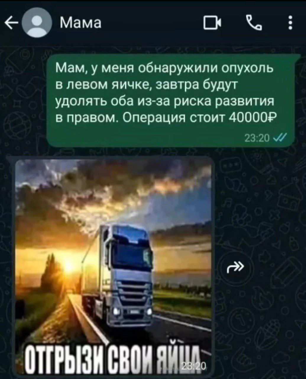 Мама, у меня опухоль в яичке Мем с перепиской в мессенджере, где сын сообщает маме о раке яичек, а она в ответ отправляет картинку с грузовиком и надписью «Отгрызи свои яйца».