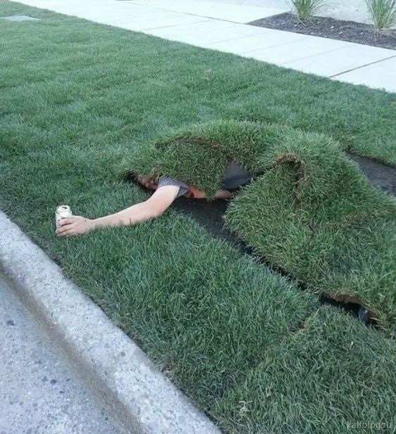 Мужчина, прикрытый рулонами газона, отдыхает на улице с банкой напитка