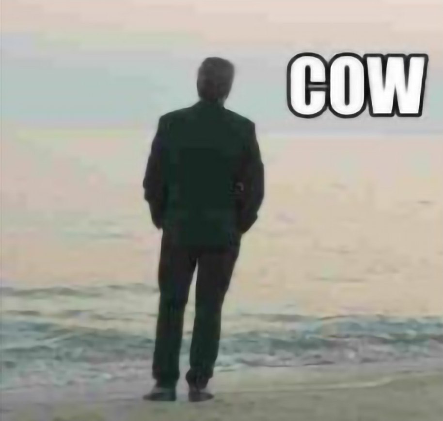 Мужчина смотрит на надпись cow Мужчина в костюме стоит на берегу моря и смотрит на надпись «COW»