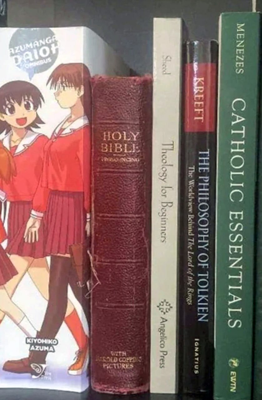 Манга и Библия на одной полке Книги на полке, включая мангу Azumanga Daioh, Библию и книги по теологии.