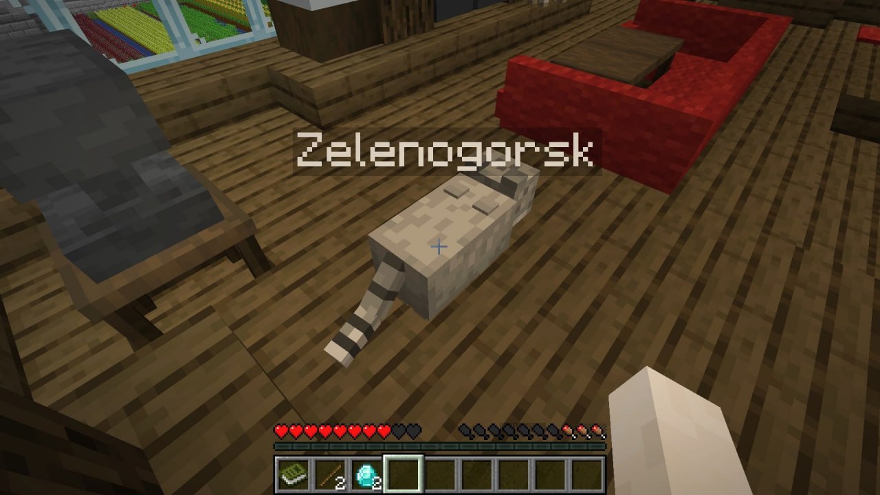 Манул Зеленогорск Манул по имени Зеленогорск из Minecraft