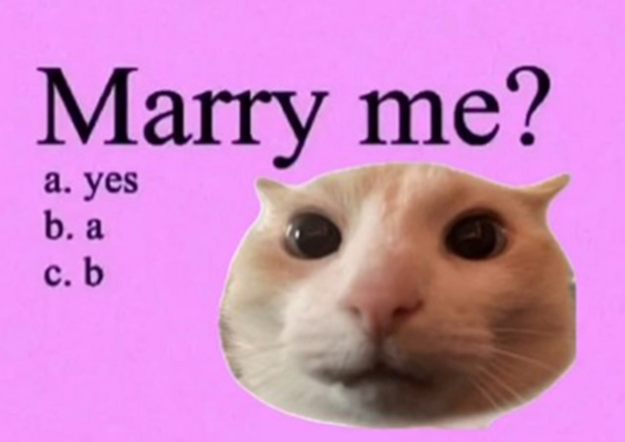Marry me кот Мем с котом, который предлагает жениться и варианты ответа