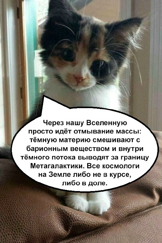 Серьёзная кошка объясняет теорию об отмывании массы, тёмной материи и космологах, которые якобы всё скрывают