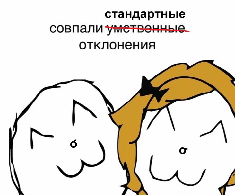 Совпали умственные отклонения Две забавные аниме-кошки рядом, а над ними текст «стандартные совпали умственные отклонения»