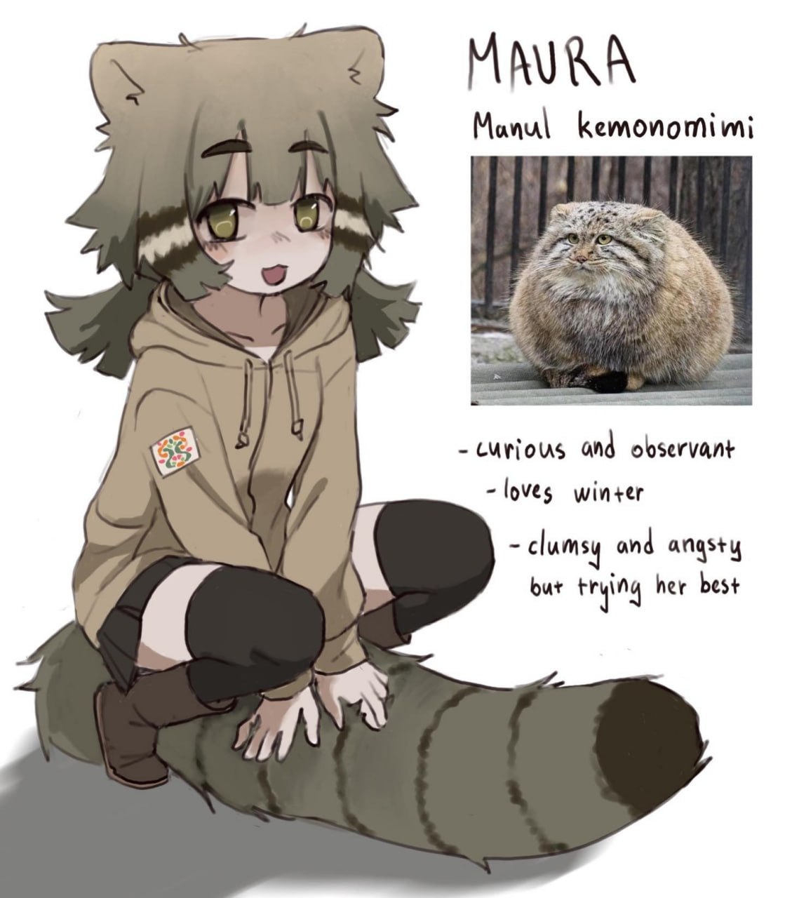 Аниме-девушка-кошкодевочка Maura с манульими ушами и хвостом рядом с фото манула и описанием персонажа