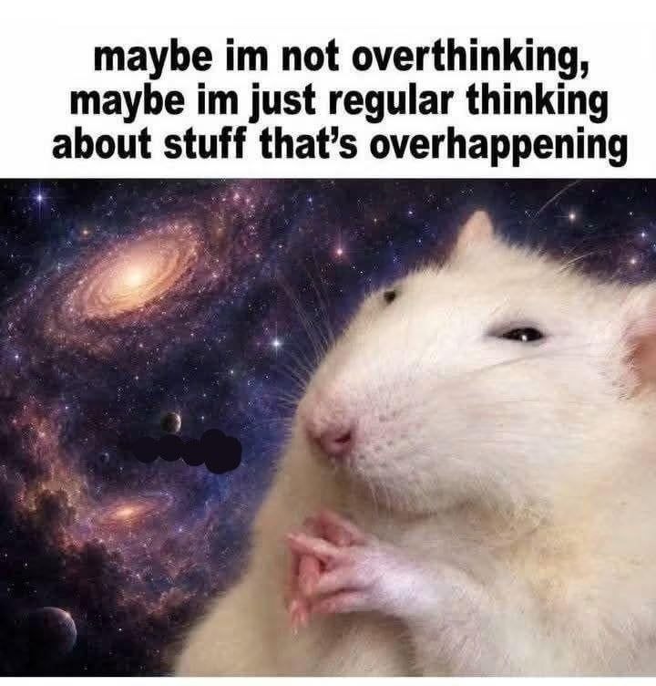 Белая крыса на фоне космоса с подписью «maybe im not overthinking, maybe im just regular thinking about stuff that’s overhappening».