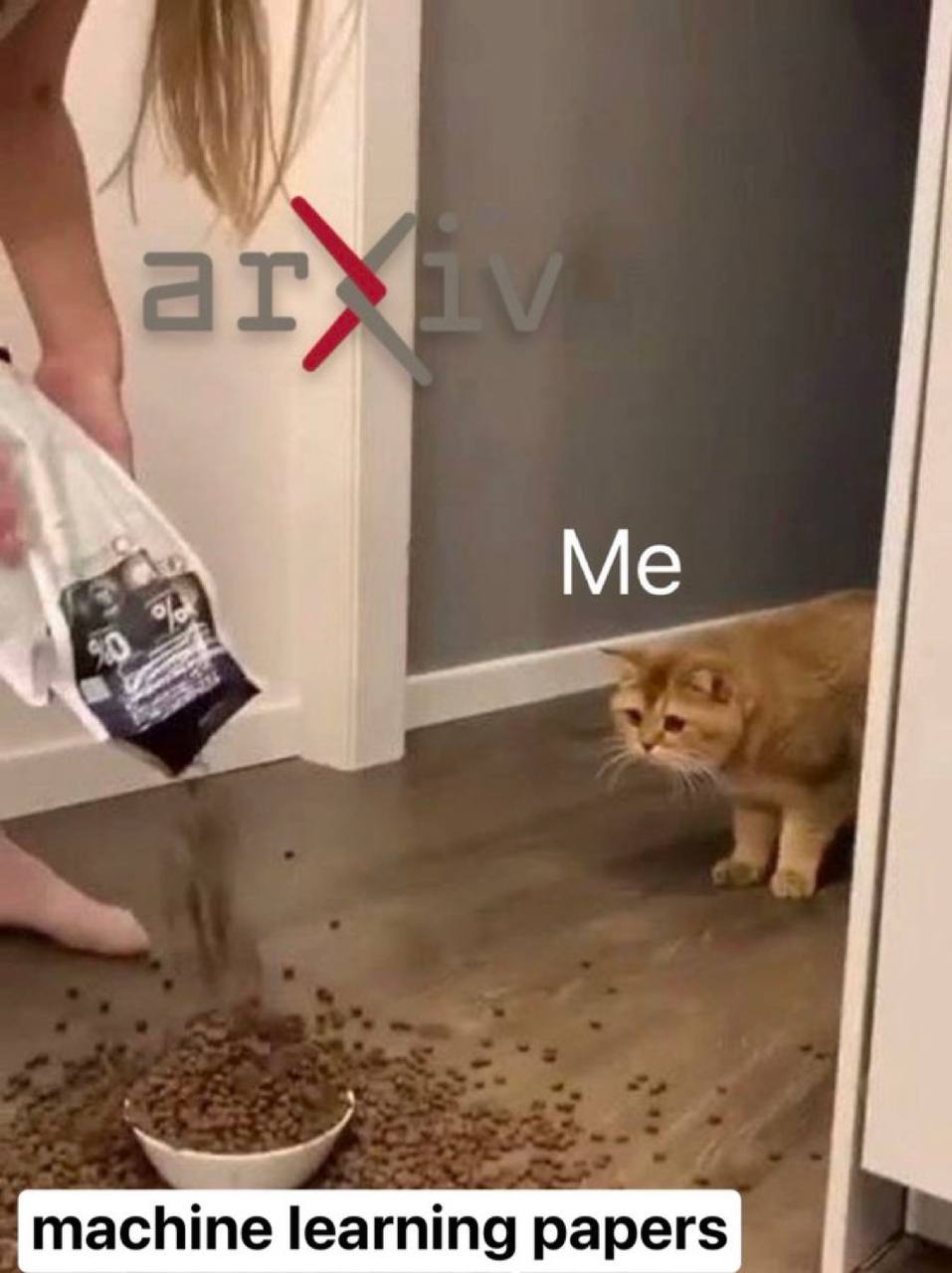 Я и "machine learning papers" Я (кот) с удивлением смотрю, как из мешка "arxiv" сыпятся статьи по машинному обучению