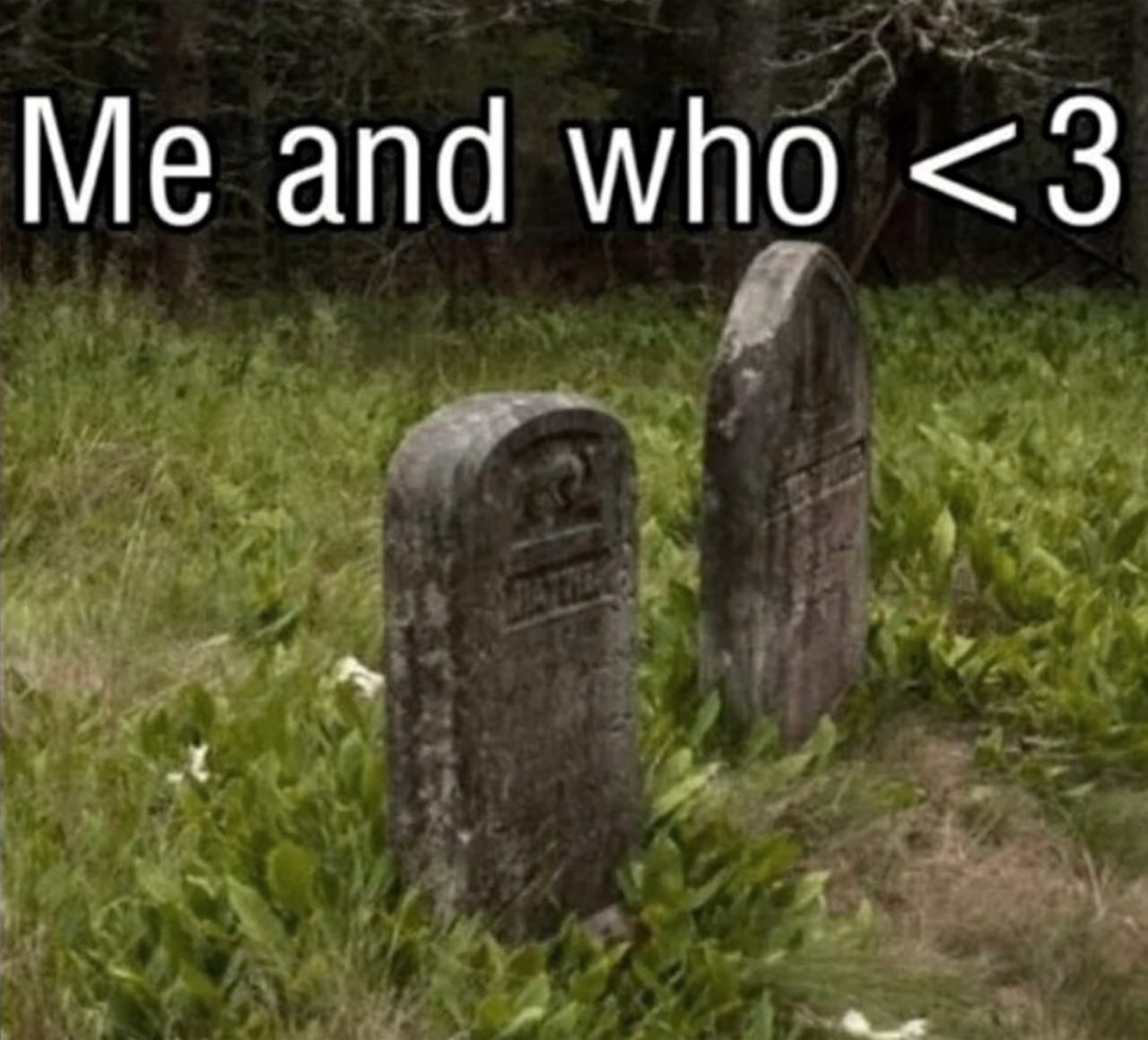 Я и кто Мем с двумя надгробиями в траве и надписью «Я и кто <3»
