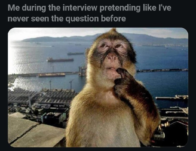Me during the interview pretending like I’ve never seen the question before Обезьяна будто никогда не видела вопроса на собеседовании