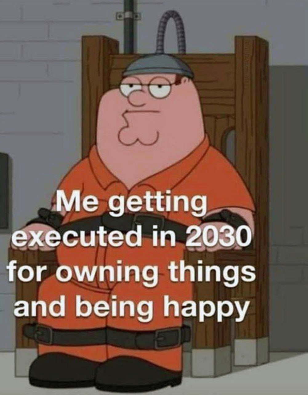Me getting executed in 2030 Питер Гриффин сидит на электрическом стуле, а на нем надпись о казни за владение вещами в 2030 году