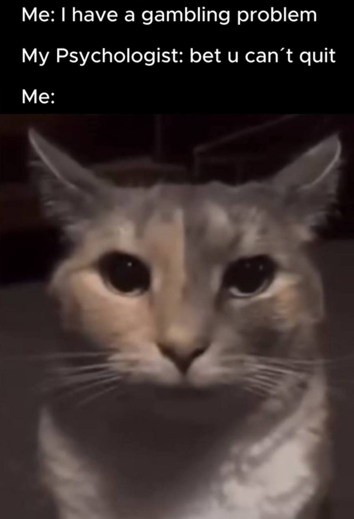 Me: I have a gambling problem. My Psychologist: bet u can’t quit. Me: кот Кот с широко раскрытыми глазами на мем про игровую зависимость и психолога, который говорит: "Спорим, ты не сможешь бросить".