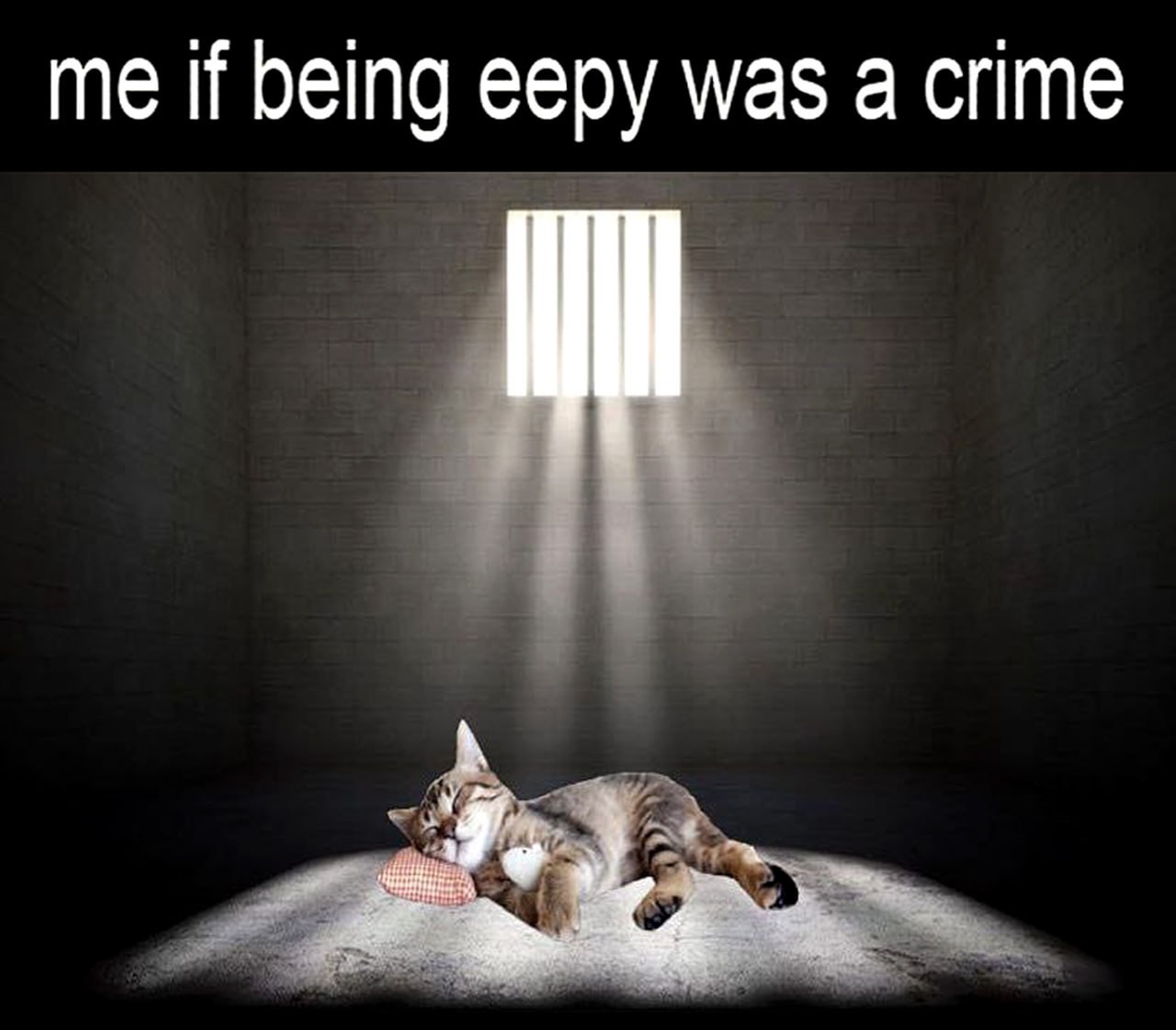 Me if being eepy was a crime Кот, спящий в тюремной камере, с надписью «Я, если бы быть сонным было преступлением»