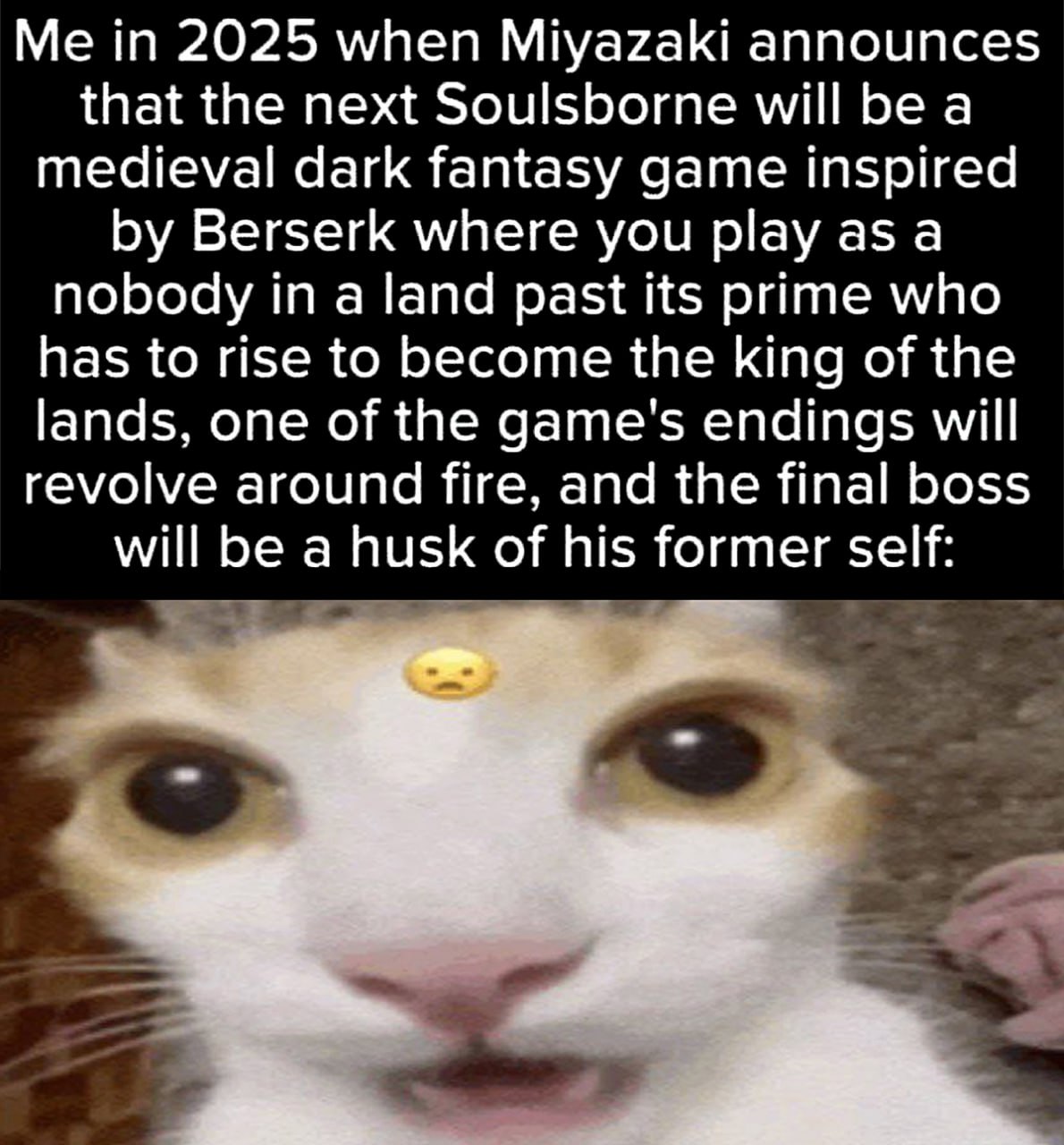 Me in 2025 when Miyazaki announces that the next Soulsborne will be a medieval dark fantasy game inspired by Berserk Мем с котом и эмодзи печального лица, изображающий реакцию на возможное анонсирование новой игры в стиле Soulsborne от Миядзаки с повторяющимися элементами