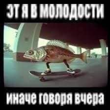 Рыба на скейтборде с подписью «Я в молодости, иначе говоря вчера» — шутка о слишком недавней молодости.