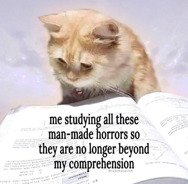 Me studying all these man-made horrors Кот, изучающий книгу об "ужасах, созданных человеком", для лучшего понимания