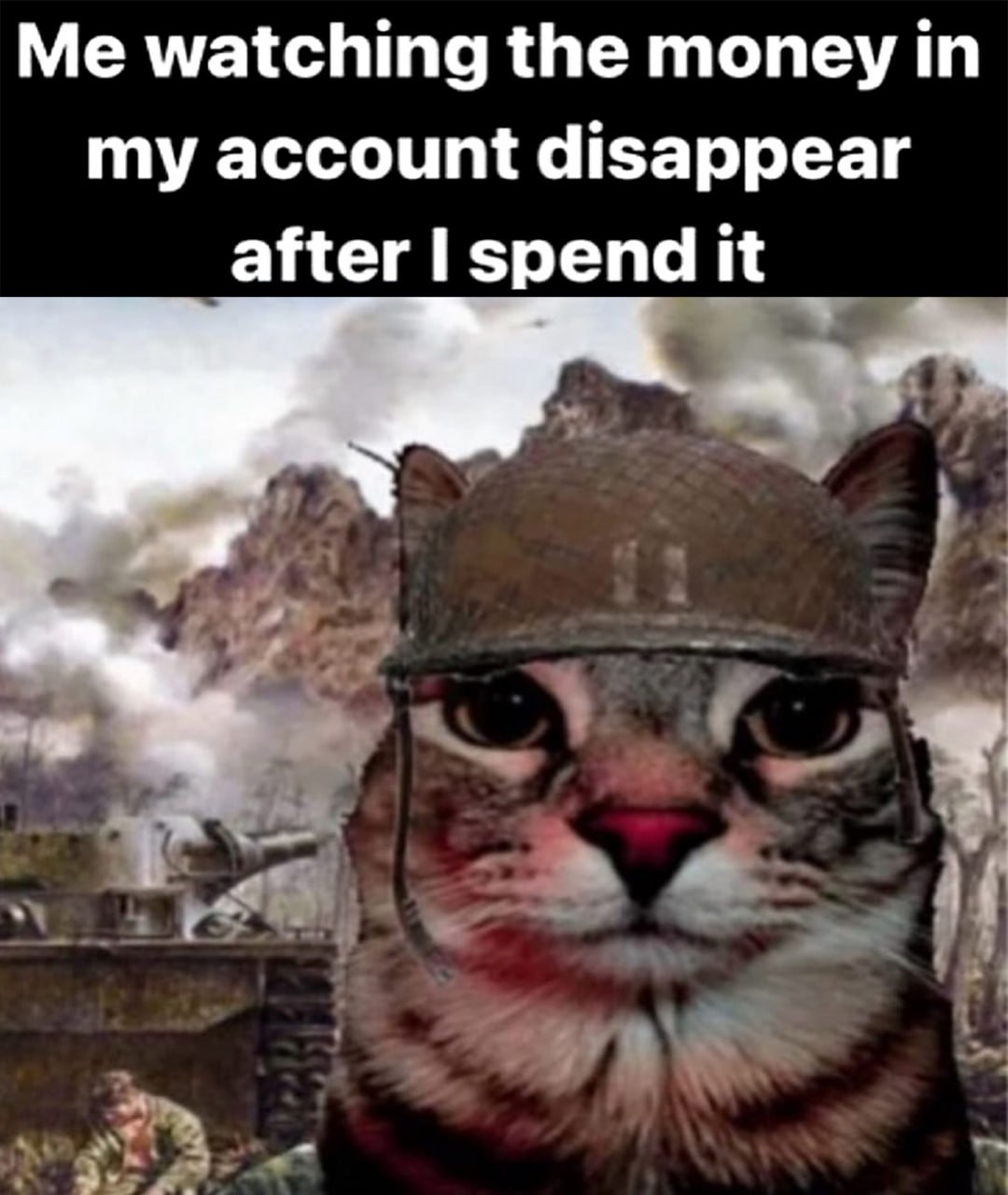 Me watching the money in my account disappear after I spend it Кот в каске на фоне войны, смотрящий, как деньги исчезают со счета
