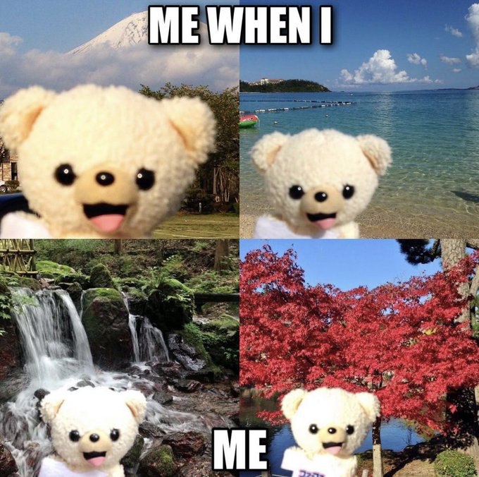 ME WHEN I / ME Весёлый плюшевый медвежонок на фоне разных пейзажей в меме «ME WHEN I / ME»