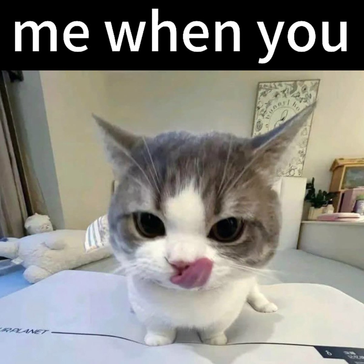 Me when you Мем с котом, который облизывается, и надписью «me when you»
