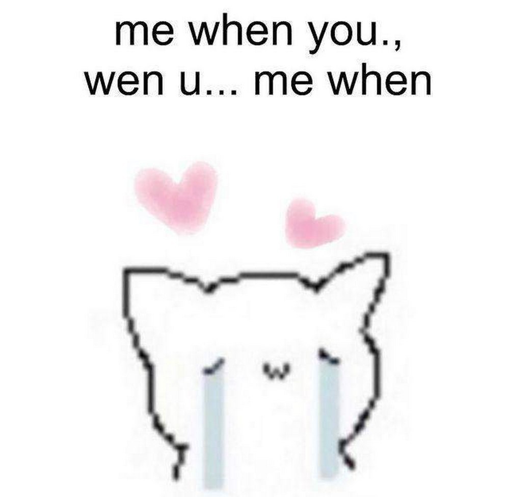 Мем me when you Мем с котом в стиле MS Paint, который плачет и над ним парят розовые сердечки, а сверху надпись: «me when you.., wen u... me when»