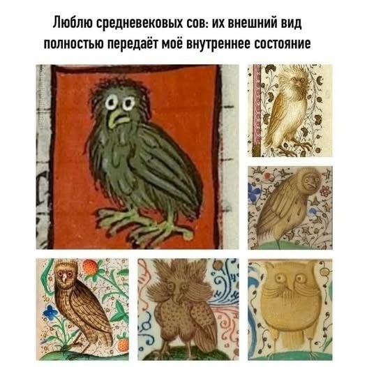 Коллаж со странными средневековыми совами и подписью о том, что их внешний вид полностью передаёт внутреннее состояние автора.