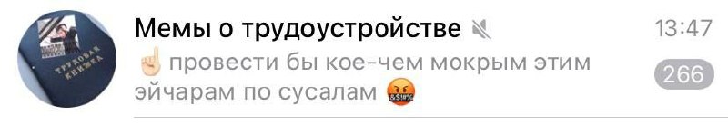 Мемы о трудоустройстве провести бы кое-чем мокрым этим эйчарам по сусалам Скриншот сообщения из чата «Мемы о трудоустройстве», в котором пользователь выражает недовольство эйчарами, желая провести им чем-то мокрым по сусалам. В качестве аватара чата используется изображение трудовой книжки.