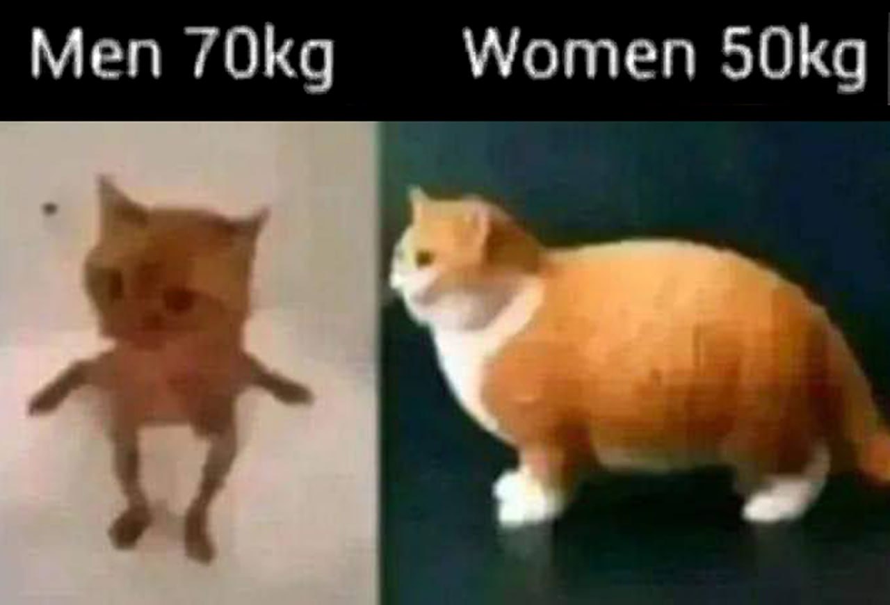 Коты Men 70kg Women 50kg Мем с двумя котами и весом, демонстрирующий разницу восприятия веса у мужчин и женщин