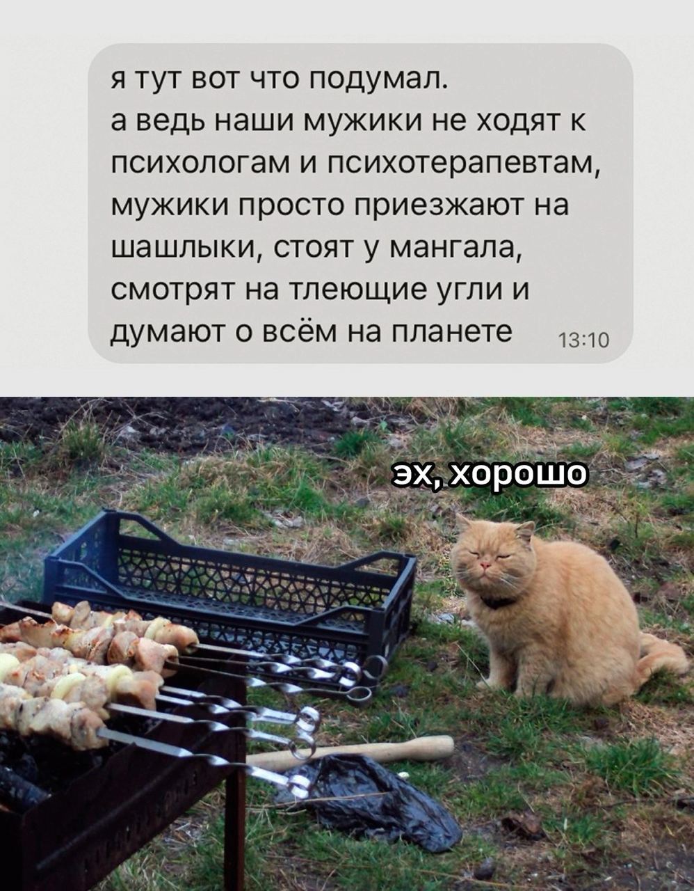 Мужики не ходят к психологам, мужики едут на шашлыки Рыжий кот наслаждается запахом шашлыков и отдыхом на природе, а человек в это время размышляет о том, как мужчины снимают стресс.