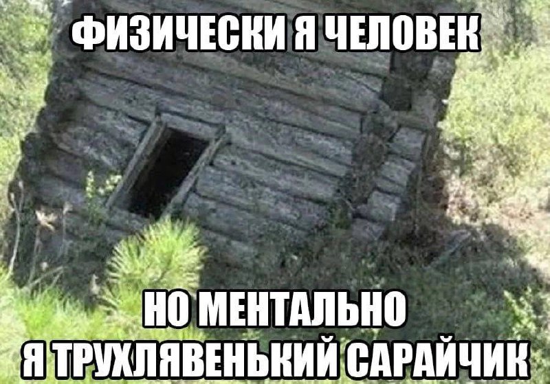 Ментально я трухлявенький сарайчик Мем с изображением старого покосившегося сарая и надписью: «Физически я человек, но ментально я трухлявенький сарайчик»