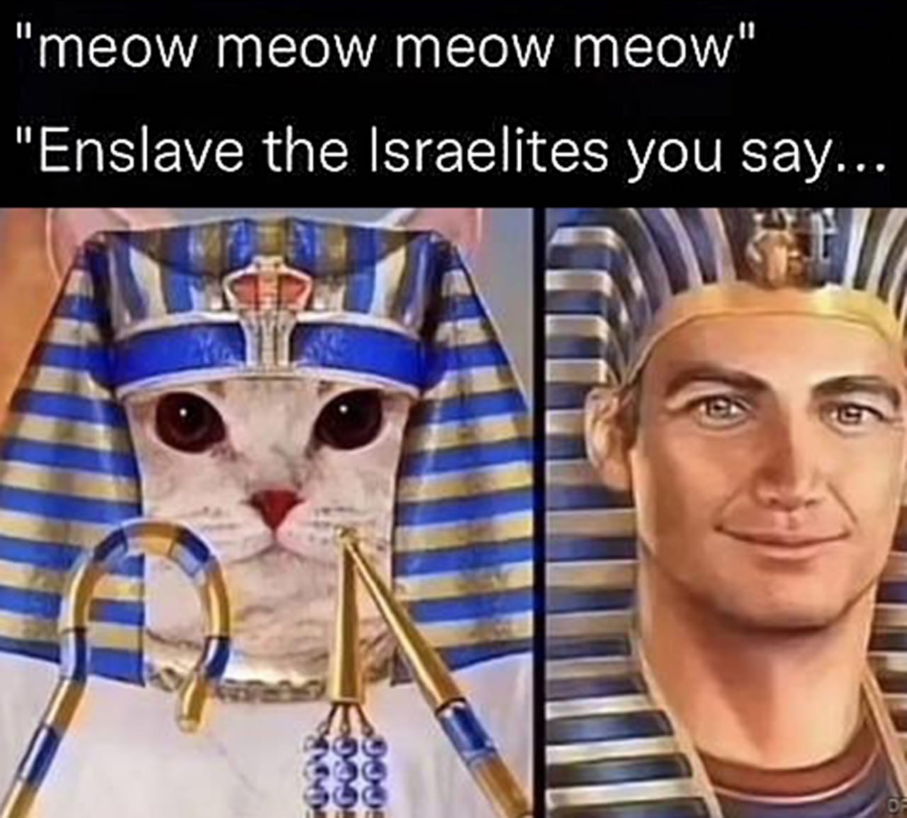 Meow meow meow meow enslave the israelites you say Кот фараон "мяу-мяу" и человек в образе фараона, который услышал "Захватить израильтян, говоришь..."