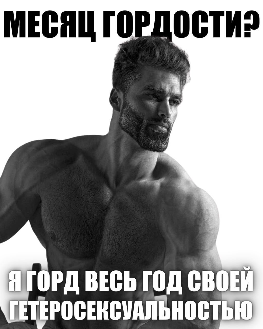 Месяц гордости? Я горд весь год своей гетеросексуальностью Мем про Гигачада и месяц гордости, где он говорит, что гордится своей гетеросексуальностью весь год.