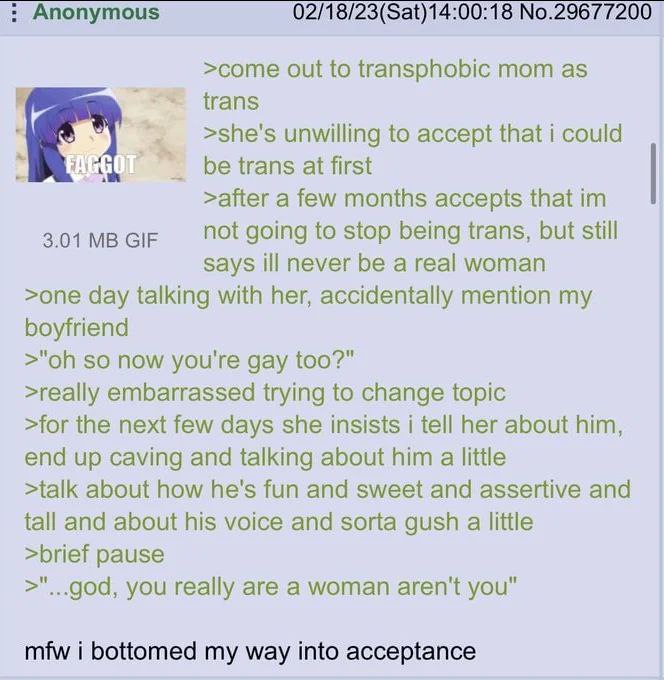 Скриншот поста с 4chan про транс-девушку, её маму и парня, с подписью «mfw i bottomed my way into acceptance»