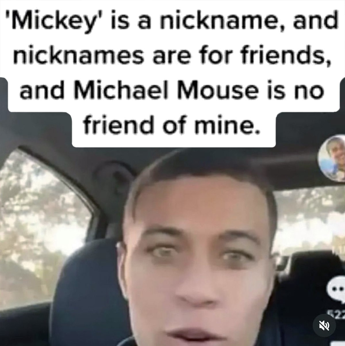 Michael Mouse is no friend of mine Майкл Маус мне не друг