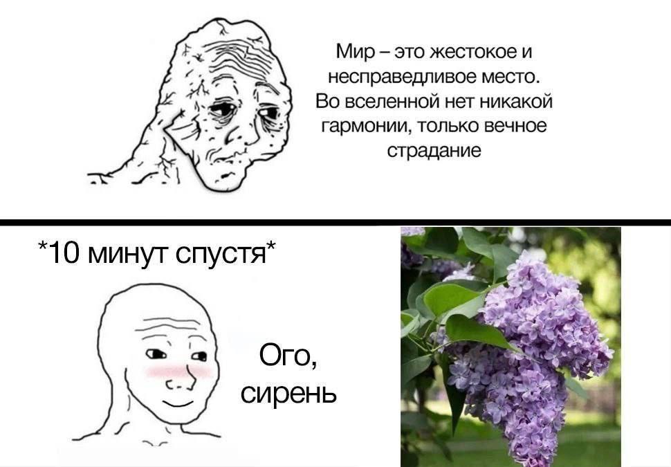 Мир - это жестокое и несправедливое место. Ого, сирень Мем про уставшего вояка, который говорит, что мир - это жестокое и несправедливое место, а через 10 минут радуется сирени.