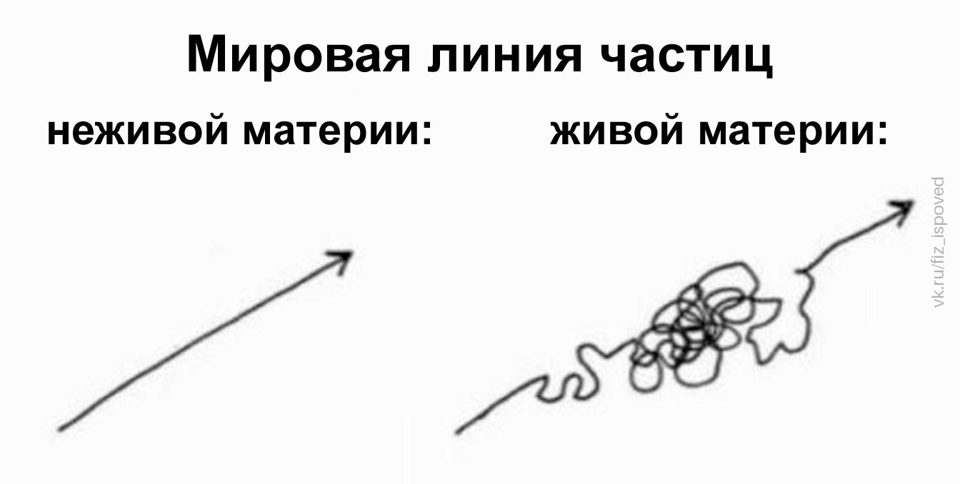 Сравнение мировой линии частиц неживой и живой материи: прямая траектория слева и хаотичное движение справа.