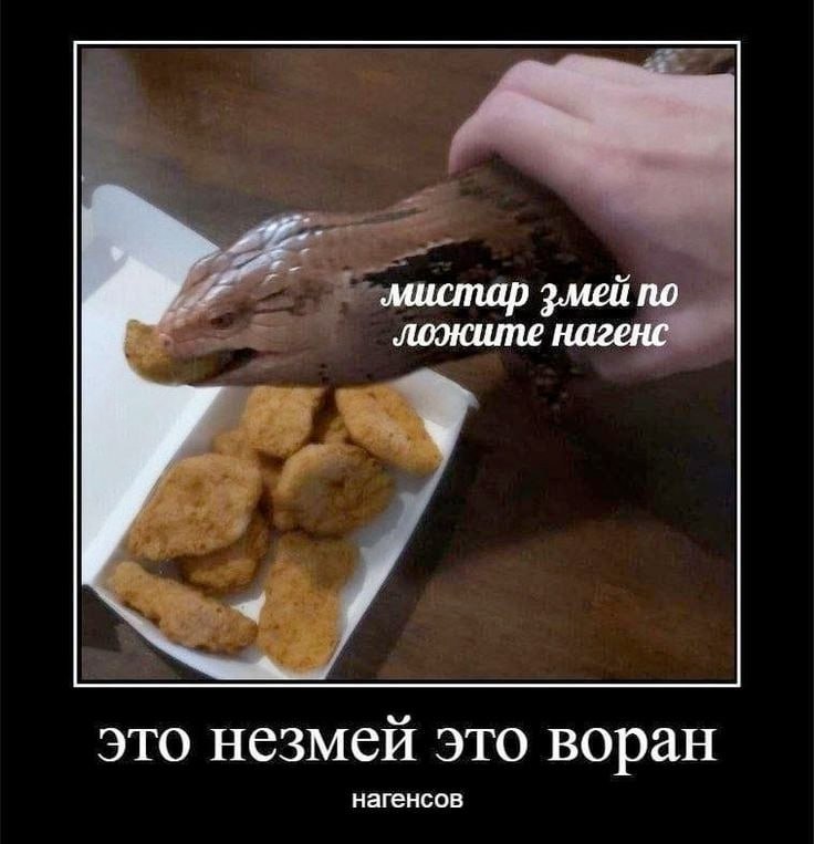 Мистер змей, положите нагенс Мем, где варан или змея пытается взять наггетс из коробки, а снизу написано "это не змей это воран"